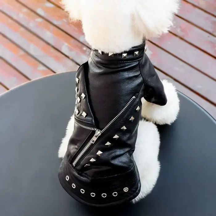 Veste en cuir pour chien