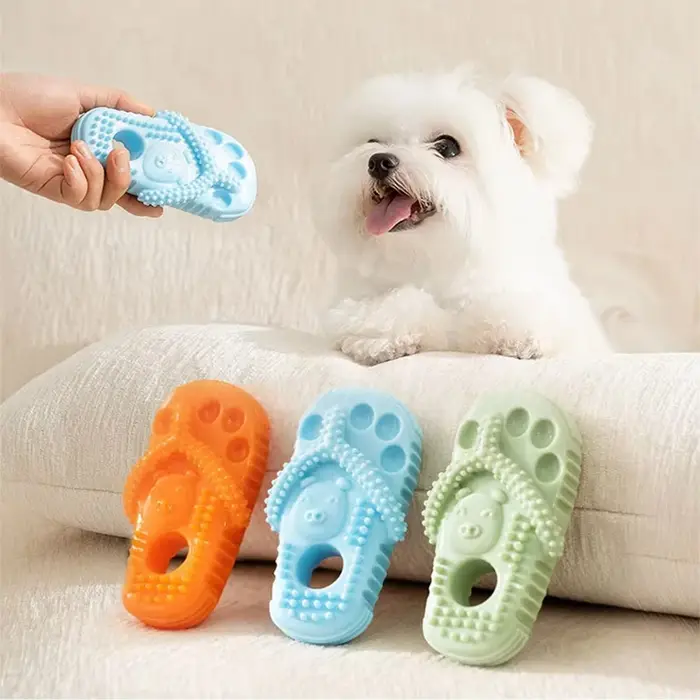 Jouet pantoufle pour animaux de compagnie