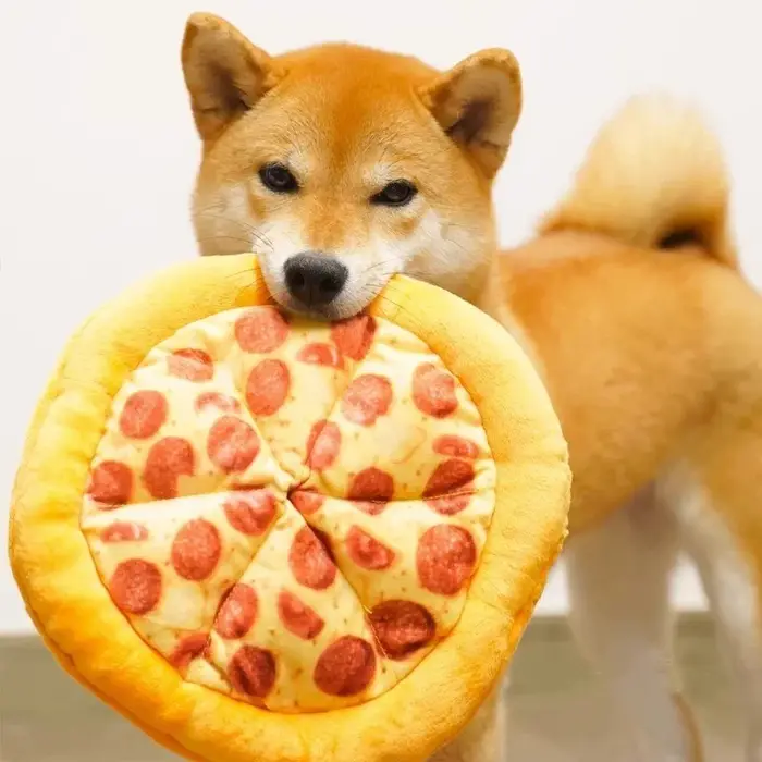 Jouet en peluche pour chien en forme de pizza ou de beignet