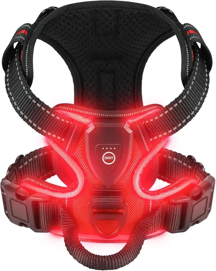 Harnais lumineux LED pour chien, essentiels pour la sécurité de la marche des chiens la nuit, gilet 