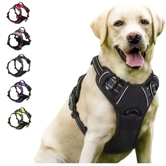 Clip avant de harnais sans traction para cão grande, robuste, réfléchissant, easy control, alça, andando