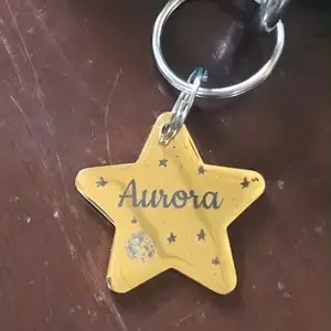 Étiquette de chien pour animaux de compagnie, collier personnalisé en forme d'étoile, nom personnali