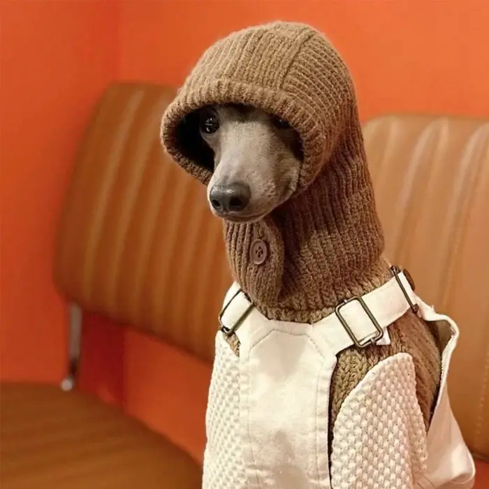 Chapeau en laine pour petit chien