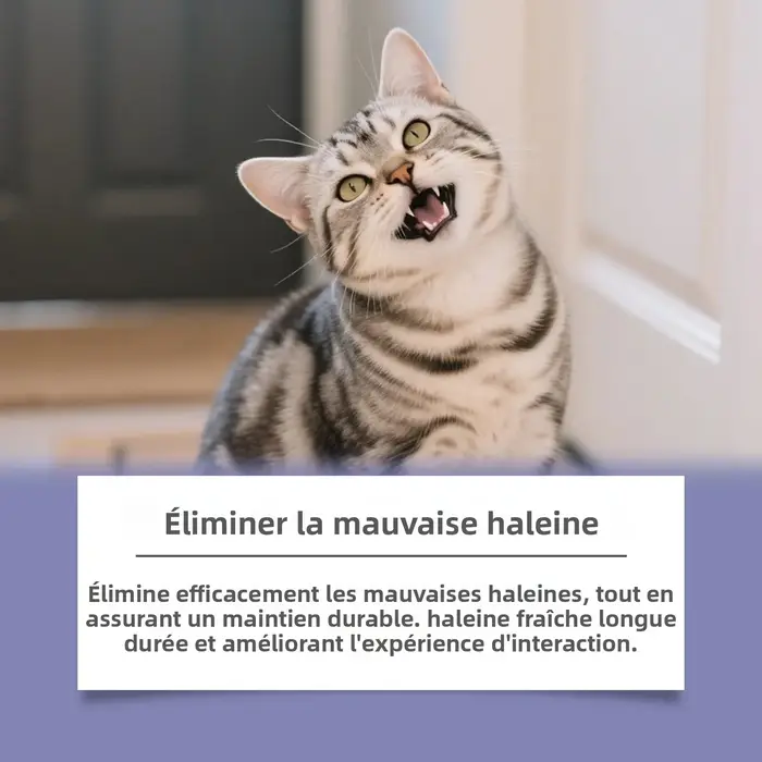 Additif d'eau potable pour animaux de compagnie