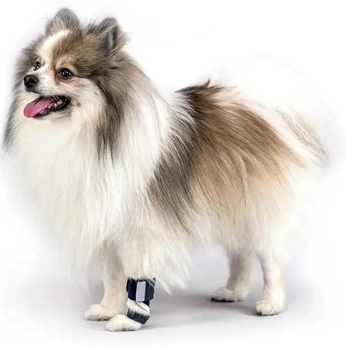 Attelle de jambe avant pour animaux en polyester blanc - confort et protection pour chiens et chats blessés ou handicapés