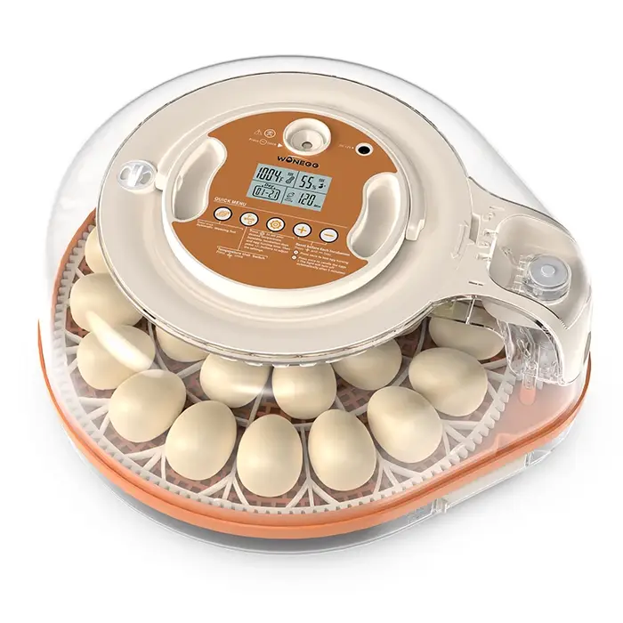 Incubateur à œufs HHD WONEGG haute efficacité pour 26 œufs - Température/humidité automatique et dou