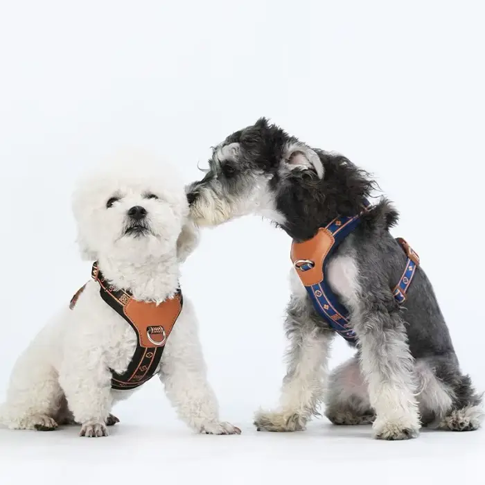 Harnais pour chien durable sangle réglable quatre points anneau en alliage anti-déformation laisse réfléchissante respirante adapté petits chiots et animaux de compagnie occassions spéciales