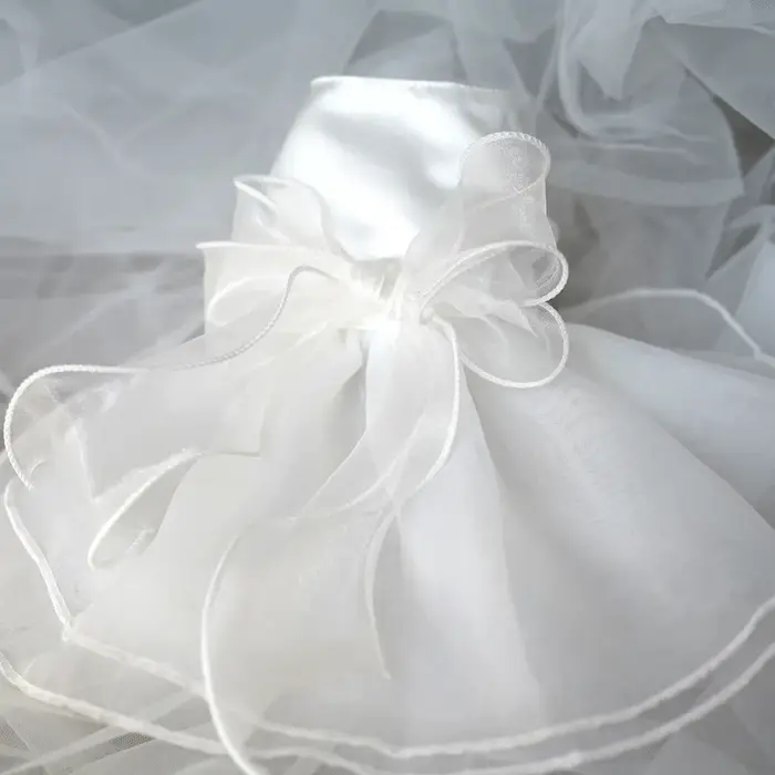 Robe de princesse chien blanc avec nœud papillon, jupe de luxe, robes formelles de fête d'anniversai