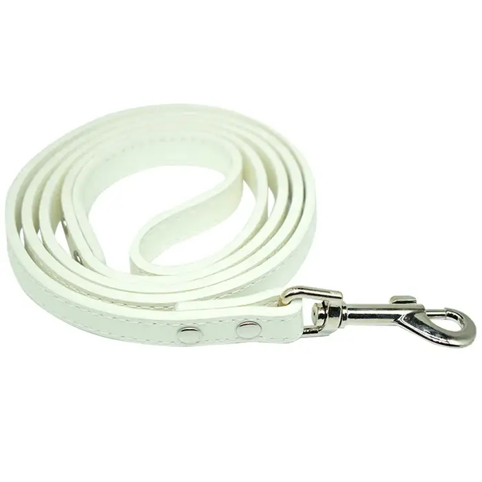 Laisse en cuir solide pour chiens de compagnie, ULde plomb, fournitures pour chiots, dressage, grand