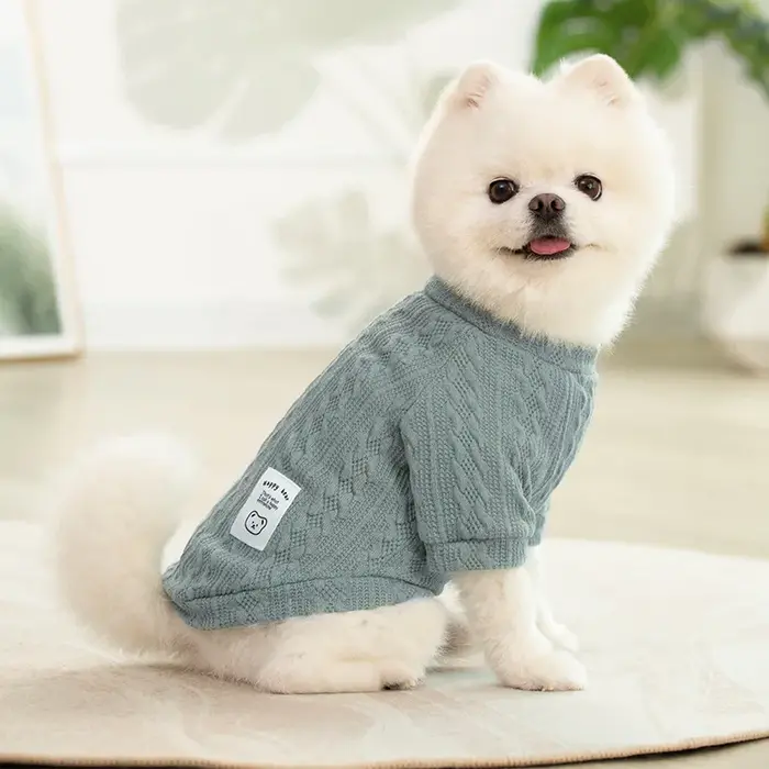Pull en tricot pour animaux de compagnie, vêtements d'hiver chauds et doux, pull en tricot pour chie