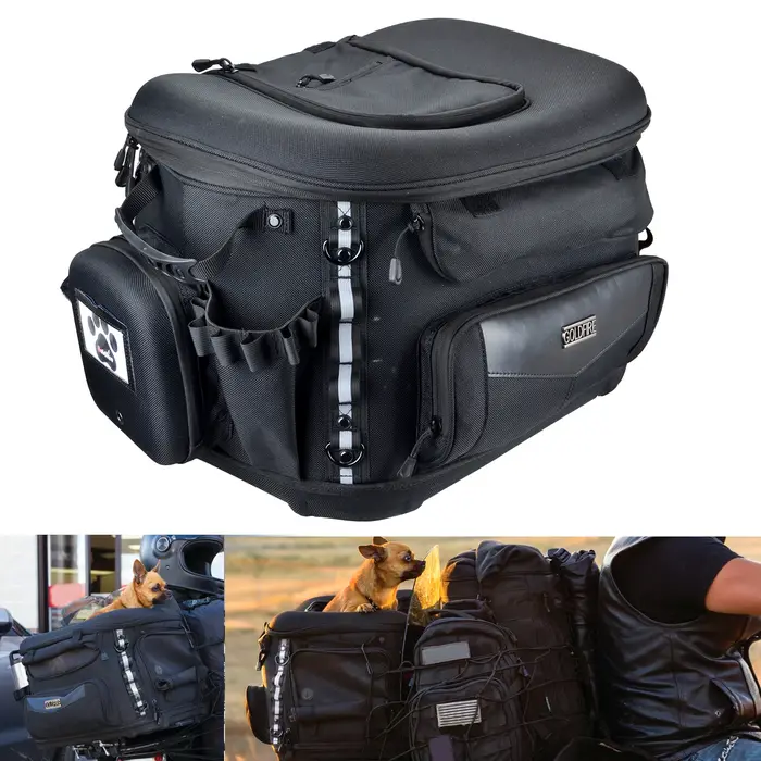 Sac pour animaux de compagnie de moto, sacs arrière de transport de luxe à la mode pour bagages de c