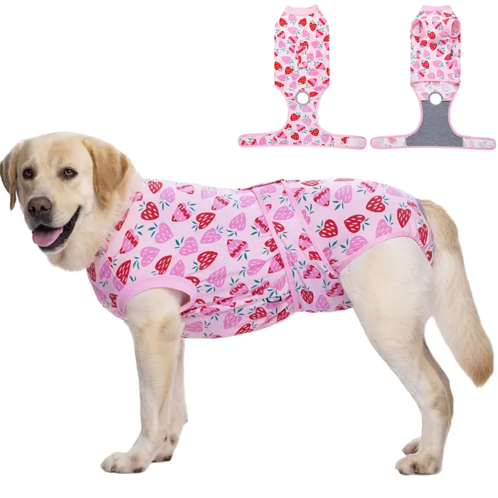 Combinaison de récupération en coton pour chien