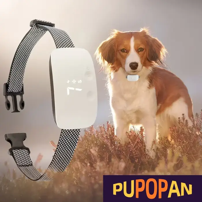Collier intelligent anti-aboiement pour chien