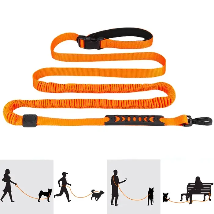 Laisse mains-libres pour animal de compagnie