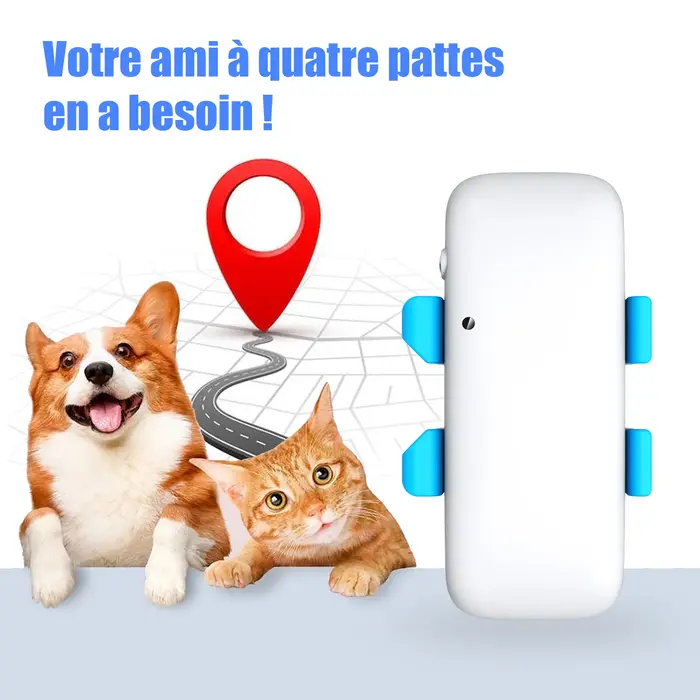 Traceur GPS pour chien et chat, abonnement requis, carte SIM IoT mondiale intégrée, suivi en temps r