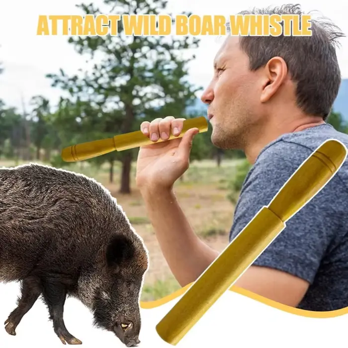Outil d'appelant de porc sauvage en bois