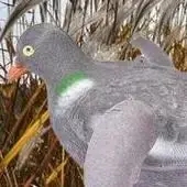 Leurre pigeon et colombe volant réaliste - Appât pour chasse aux tourterelles - Décor de jardin effaroucheur
