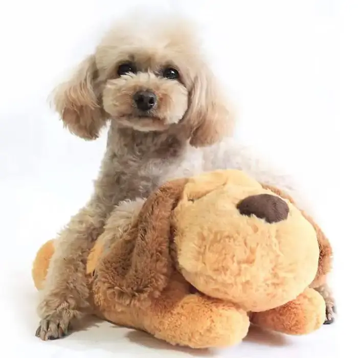【Asimulation de l'anxiété calmante】 Jouet en peluche pour chien avec simulateur de battement de cœur