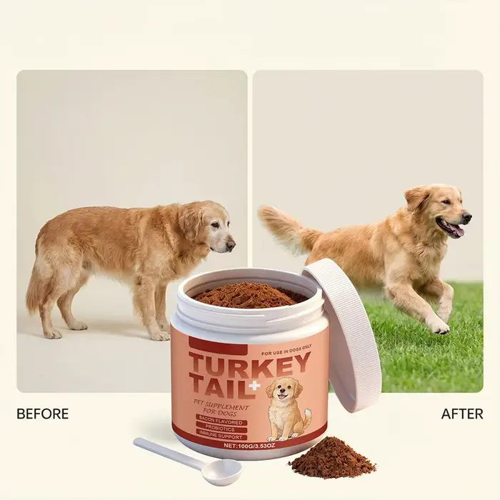 Complément alimentaire premium pour chiens de 100 g – Soutien immunitaire quotidien, favorise une fo