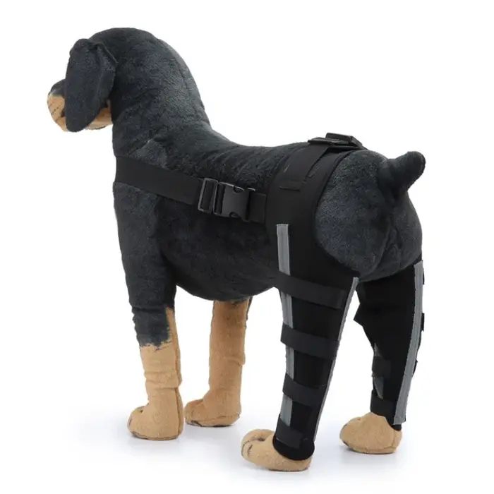 Attelle de soutien pour pattes arrière de chien âgé – Aide à la marche, support postopératoire, sang