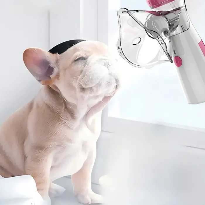 Nébuliseur pour animaux de compagnie recommandé par les vétérinaires pour chiens et chats
